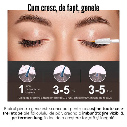 LashElixir™ | Ser 2-în-1 pentru gene și sprâncene